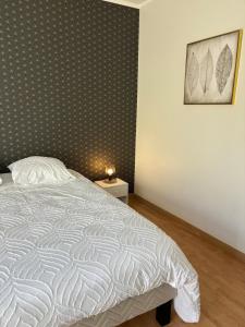 Appartements T3 centre ville Rodez : photos des chambres