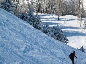 Appartements Residence Princes - Studio spacieux refait a neuf proche des thermes MAE-1434 : photos des chambres