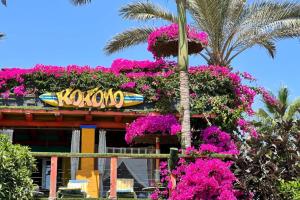 Kokomo on the beach with heated swimming pool