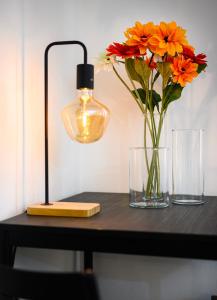 Sebino 15 - Monolocale Cool