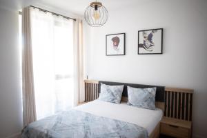 Blue Eye See Mamaia Nord