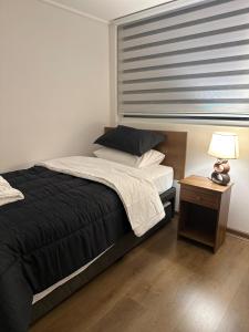 Amplio departamento en zona céntrica de Concepción