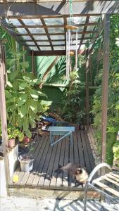 Casa aconchegante em Curitiba