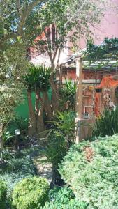 Casa aconchegante em Curitiba