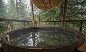 Villas Villa Foret et Spa : photos des chambres