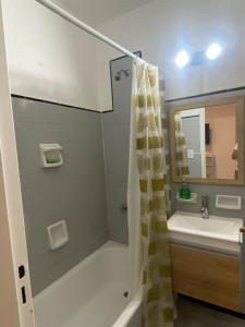 Mono ambiente Vieja Terminal