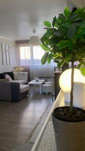 Maisons de vacances Cozy-Maisonnette 5Chb Brest Guip : photos des chambres