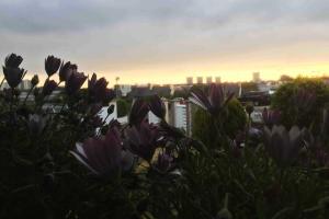 Maisons de vacances Cozy-Maisonnette 5Chb Brest Guip : photos des chambres