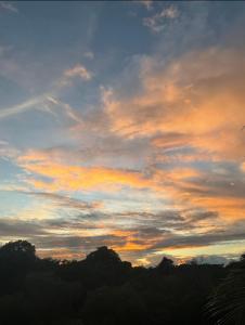 In the Tropics by the Sea