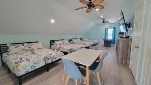 Spectacular Beachfront Beauty 5BR 4BTH - Dragon Fly