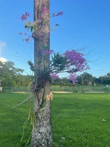 Hogar Bello Sitio