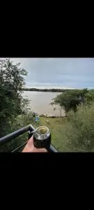 House on the river - Young