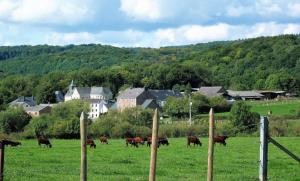 Belgium your low-cost stays in luxury gites