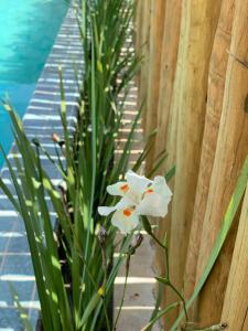 Chalés Maremi - Chalé 1 e Chalé 2