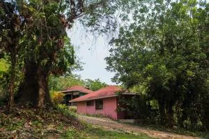 Winíka Alterra - Arroyo Agua Azul