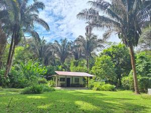 Four Monkeys Eco Lodge Jungle & Beach - The House