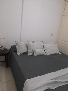 Departamento a metros peatonal Carlos Paz