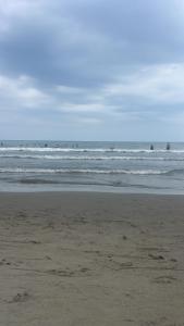 Descanso y confort frente al mar!