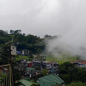 Guest House Transient