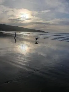 Peaceful beachside guest house - Winton