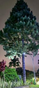 Flat do Padre - Petrópolis