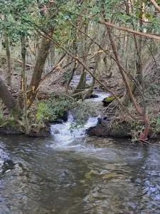 Cabaña campestre Bello Horizonte - Yungay