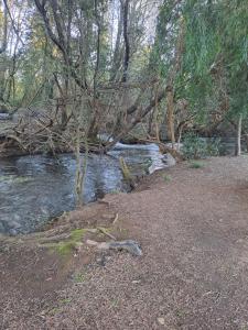 Cabaña campestre Bello Horizonte