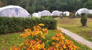 NiNo San Glamping - Pak Chong