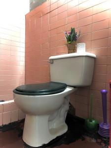 Camping en la ciudad