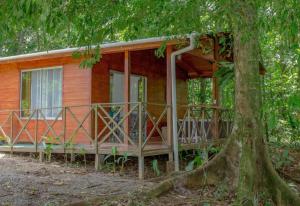 Rustic mountain cottage near La Fortuna