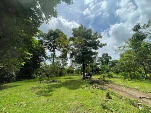 Rustic mountain cottage near La Fortuna