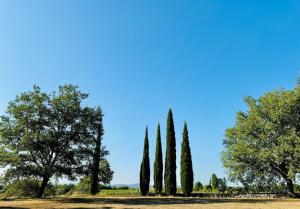 Domaine de Maurel