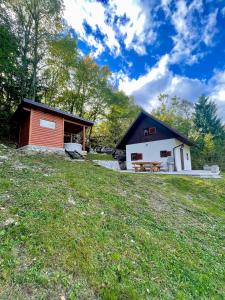 Relax house AVUS with Sauna