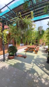 Hoàng Dung homestay- Vũng Tàu