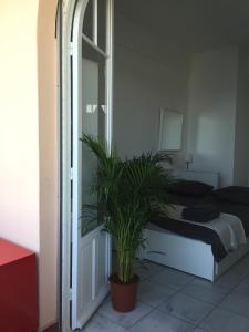 Appartements Amazing View Port Golfe-Juan and Garage : photos des chambres