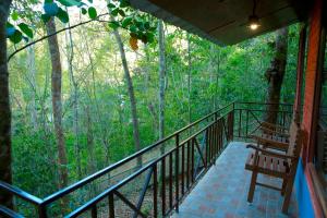 Snow Hills Nature Resort, Thekkady