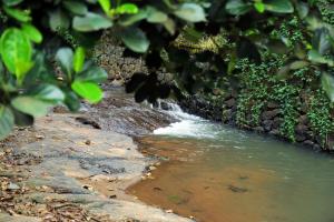 Snow Hills Nature Resort, Thekkady