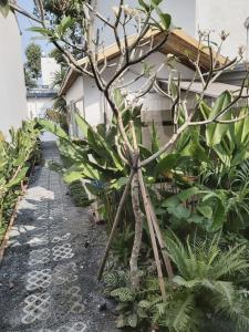 Pipo house, cool breeze, beautiful sunshine