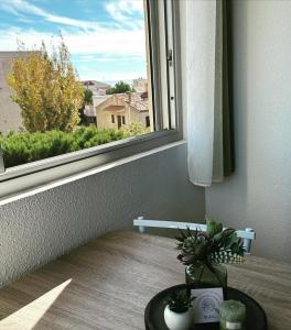 Parfum des pins récemment rénové