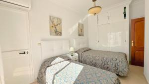 Animas Duplex
