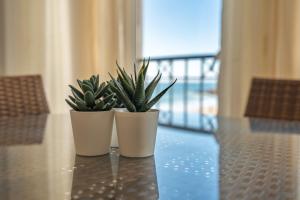 Beach Apt 1 In Burgau