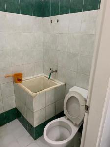 Vila green apple aamaleeq cipanas puncak