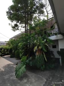 Penginapan Batu Tiur