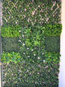 Sunflower Homes- Peace and Joy