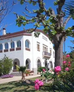 Un lugar especial - 滨海卡夫雷拉