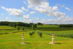 Maisons de vacances Superbe Chateau et son Gite de Chateau de l-Estang a Saint Emilion : photos des chambres