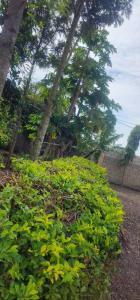 Lambatini Homestays & Lodges