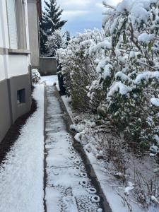 Appartements Bel appartement centre climatise parking prive : photos des chambres