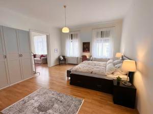 Großräumige Altbauwohnung nahe Zentrum