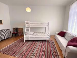 Großräumige Altbauwohnung nahe Zentrum